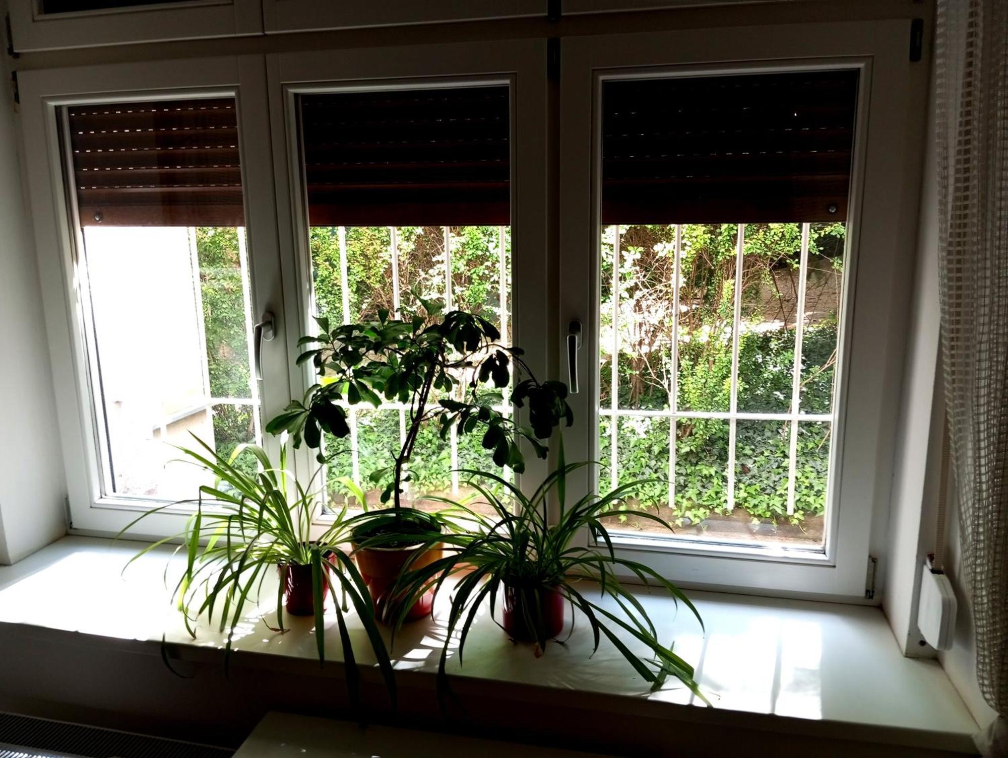 Garden Apartment Prague Luaran gambar